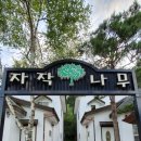 자작나무펜션