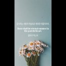 오늘의 '영어 명언'(184강) 실리아 돽스터(Celia Thaxter) 이미지