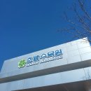 한밭수목원 | 대전 한밭수목원 봄꽃구경 힐링산책 다녀온후기