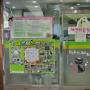 늘사랑동물병원 이미지