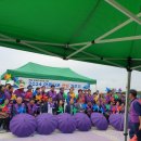 여자만마을 이미지