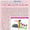 해성상사 네이버블로그