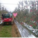 덕유산공인중개사사무소 이미지