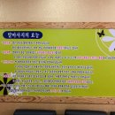 씨에씨에 이미지