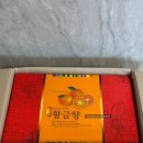 특별자치제주농장 | 풍부한 과즙 새콤달콤한 '황금향' 내돈내산 택배 후기(+민수네 귤농장 제주올레점)