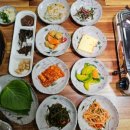 금강민물장어 이미지