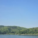 호수로 68번길 | 용인 가볼만한 곳 기흥호수공원 유채꽃밭 후기 주차 이용방법 총정리