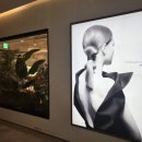 현대바로클리닉 이미지