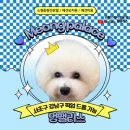 멍팰리스 이미지