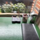 양말코히 | [CAFE] 구미 양말코히 후기 (고양이 러버들은 꼭 가기..🤍)