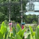 자유지역 편의점 이미지