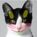 초록동물병원 이미지