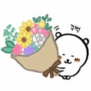 (주)천0 | 양재 꽃시장에서 꽃 저렴하게 사는 법ㅣ가격과 종류 후기