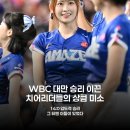 투타베이스볼 | 대만 치어리더, WBC 경기장 뒤흔든 청순 비주얼