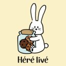 히어리브(Here live)