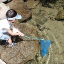 발해목장 이미지