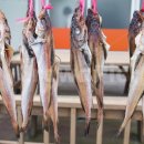 비타민휘트니스클럽 이미지