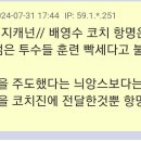 엠팍 롯데 썰쟁이) 배영수 코치 항명은 주장 외 몇명 젊은 투수들 훈련 빡세다고 불만토로 이미지