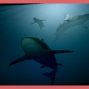 한마음마트 이미지