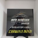 디테일러스개러지