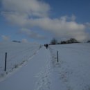 서산농장 이미지