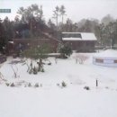 왔다민박 이미지