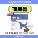 초코약국 이미지