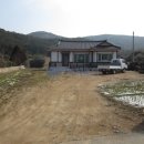 보길면-3 이미지