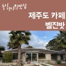 ☕ 제주 벨진밧 후기 | 제주투어패스 &amp; 커피맛집