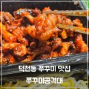 쭈꾸미공격대 이미지