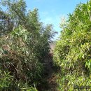 우곡리경로당 이미지