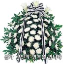 김태문 Daum카페