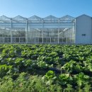 고성군농업기술센터 이미지