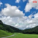 세컨더블비 이미지