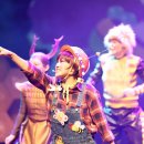 뮤지컬 꿀벌마야의 모험 이미지