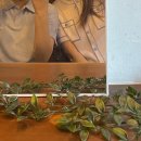 키친요로시쿠 이미지