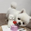 취향저견 이미지