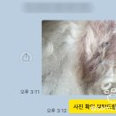 압구정동물의료센터 이미지