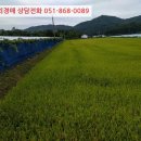 거창군웅양면하성보건진료소 이미지
