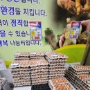 늘찬계란 이미지