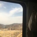 안동 간고등어 아닌 직딩어, 3월의 안동