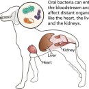 별하약국 이미지