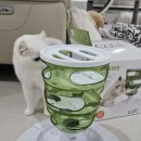 레옹푸드 이미지