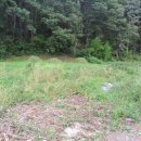 포항시남구5 이미지