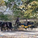 베드로민박 이미지