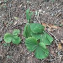 이정표농장 이미지