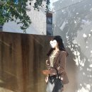 대식스(DAE6) 이미지