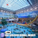 화순금호리조트푸드코트 | 화순 금호리조트 아쿠아나 워터파크 전남 물놀이