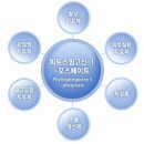 주식회사 참존 이미지