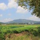 법인춘